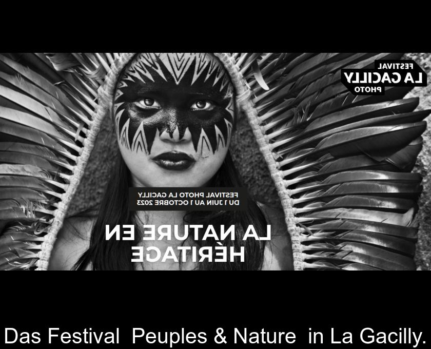Das Festival 