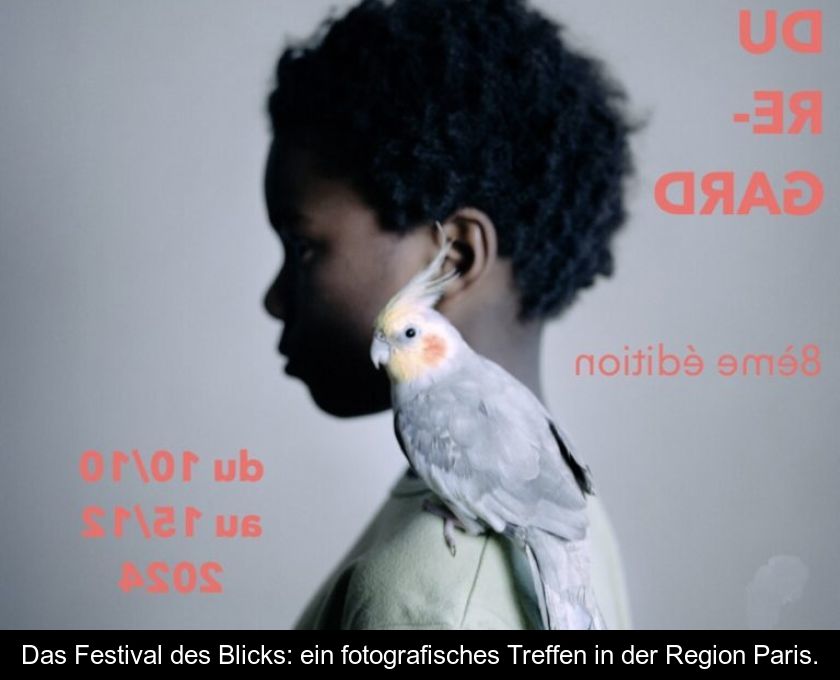 Das Festival Des Blicks: Ein Fotografisches Treffen In Der Region Paris.