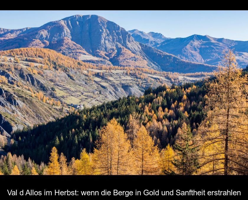 Val D'allos Im Herbst: Wenn Die Berge In Gold Und Sanftheit Erstrahlen