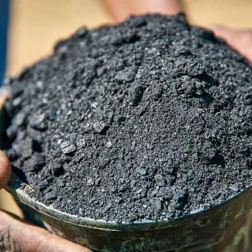 Biokohle: Wundermittel für die Umwelt?