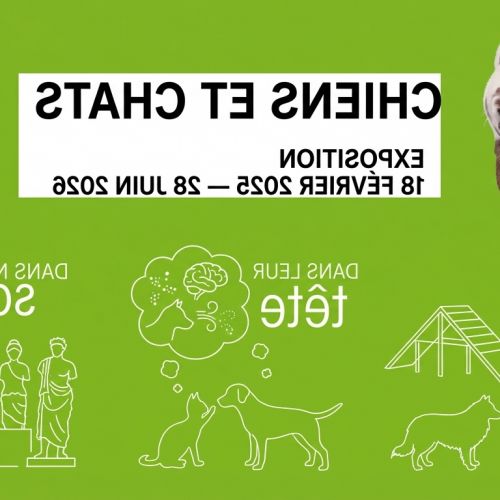 Hunde & Katzen: die unwiderstehliche Ausstellung, die unsere vierbeinigen Gefährten in der Cité des sciences unter die Lupe nimmt (und enthaart)