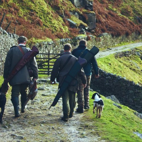 Jagd: Der Sicherheitsplan der Regierung in fünf Fragen