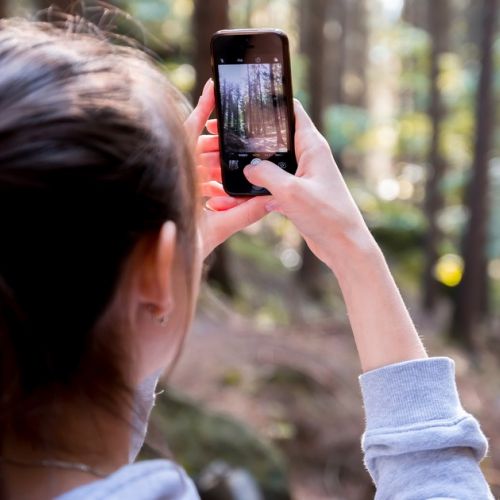 Urlaubsfotos: 5 Tipps zum Speichern von Fotos
