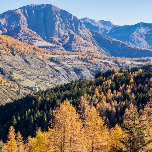Val d'Allos im Herbst: wenn die Berge in Gold und Sanftheit erstrahlen